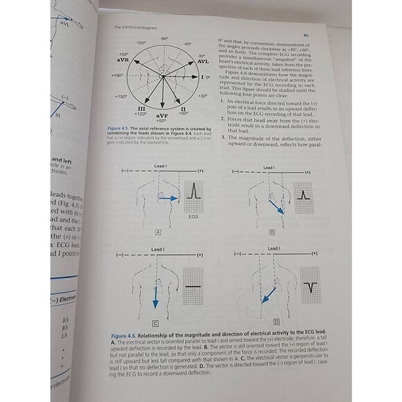 Pathophysiology of Heart Disease 4th (Fourth) Edition by Lilly - Picture 2 of 5